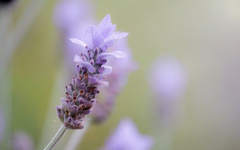 コメントへの回答 April～♪