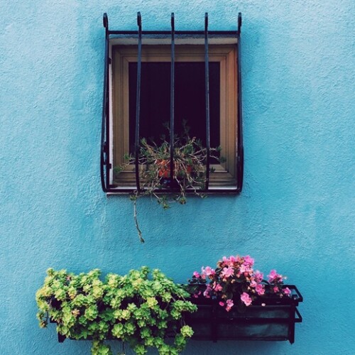 コメントへの回答 もう三月！