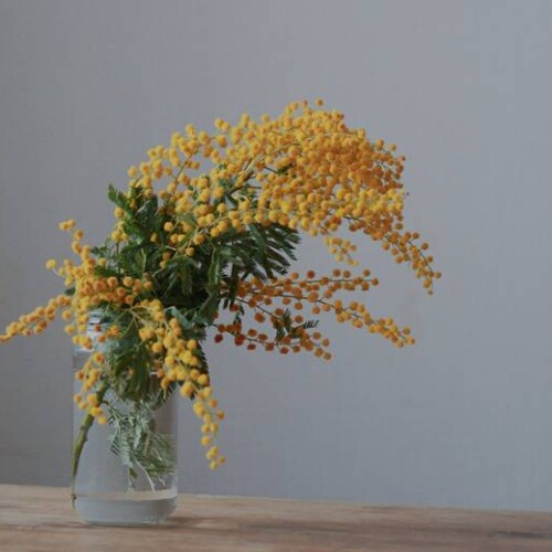 コメントへのご回答 あっと驚く１２月