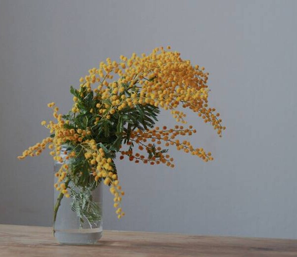 コメントへのご回答 あっと驚く１２月