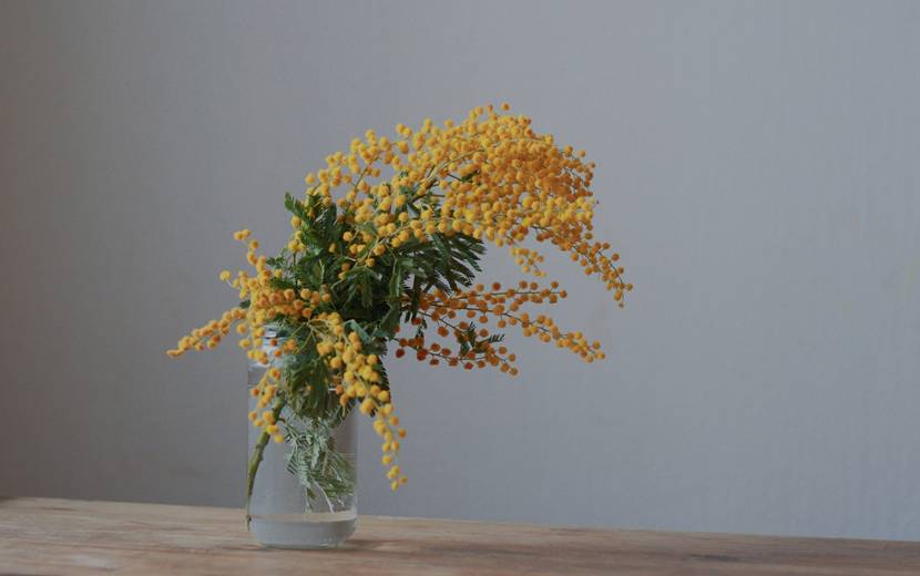 コメントへのご回答 あっと驚く１２月